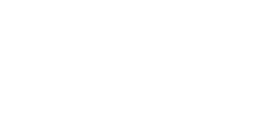 Louis's Exterior Services, est. 2022